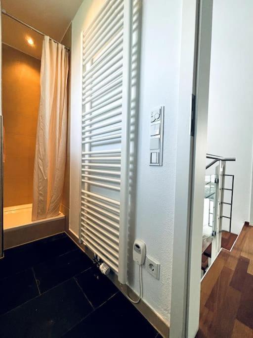 Apartment Lakefront View Entire With 2 Bedrooms, 2 Full Bathrooms & Balcony Waterview Reichenau
